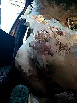 JasmineNoir2 online show from November 11, 2:03 pm