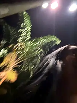 NAUGHTY LITTLE 18 online show from December 21, 3:33 am