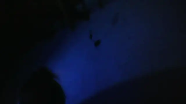 Snapshot of Sarahmonesexy chatting on October 1, 3:00 am Sarahmonesexy online show from October 1, 3:00 am