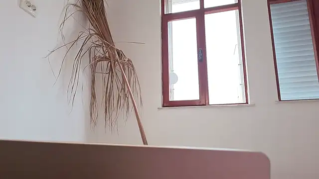 my lina online show from September 29, 8:52 am