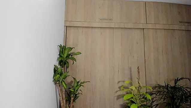 filletatouee online show from November 16, 4:36 am