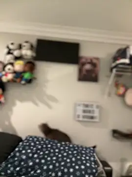 ThicBunz online show from October 22, 12:15 am