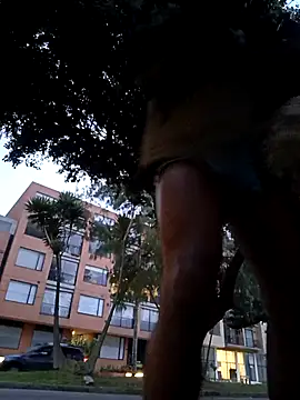 Siriss boyrag online show from November 3, 10:47 pm