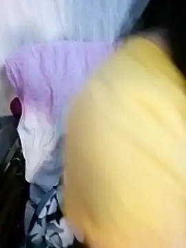 Bulbul 02 online show from January 16, 6:53 am