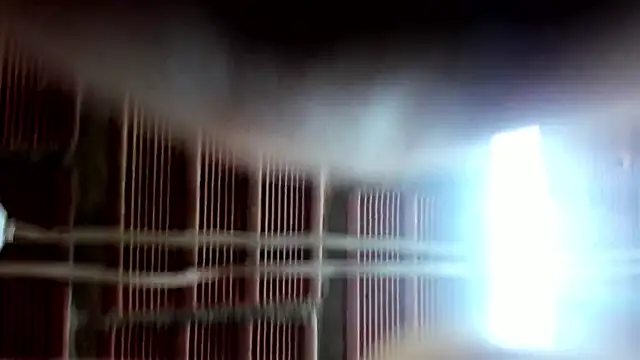 xxx  exotic online show from December 22, 11:35 am