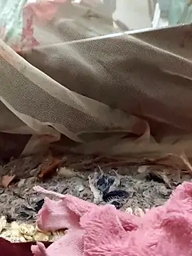 Punam Aunty 510 online show from November 12, 12:08 am