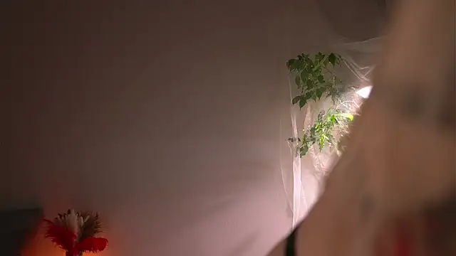 Snapshot of lorrie_love_story chatting on October 12, 8:39 am lorrie love story online show from October 12, 8:39 am