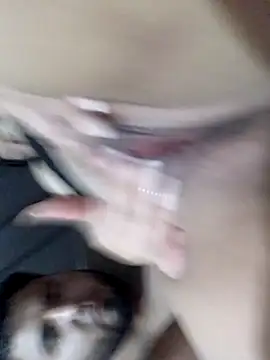 Snapshot of SINUECASTILLO chatting on October 8, 7:13 am SINUECASTILLO online show from October 8, 7:13 am