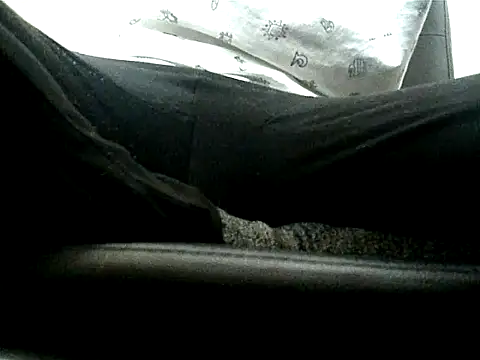 Bigone Cro online show from November 16, 12:05 pm