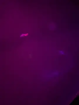 Alahia7demon online show from March 22, 10:10 am