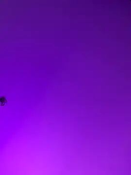 nico 18x online show from November 15, 4:30 pm