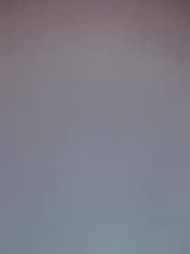  Prinscarlet  online show from April 8, 4:14 am