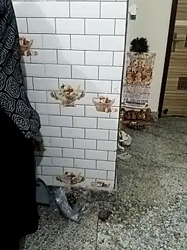 Saroj-Shah online show from September 10, 3:23 pm