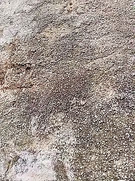 Eleni Pappa online show from April 6, 9:10 am