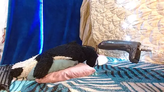 kattislut77 online show from April 4, 8:18 pm