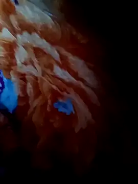 rameshjisex online show from November 12, 1:14 am