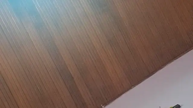 Snapshot of kyliebigboobs chatting on September 30, 2:01 pm kyliebigboobs online show from September 30, 2:01 pm