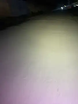 WYZQ666 online show from November 4, 2:00 pm