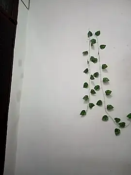 Neha-Bhabhi-Rasily online show from March 9, 11:46 am