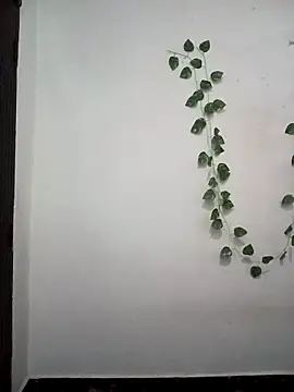 Neha-Bhabhi-Rasily online show from April 11, 3:16 pm