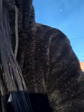 bella warzon online show from October 2, 10:37 pm