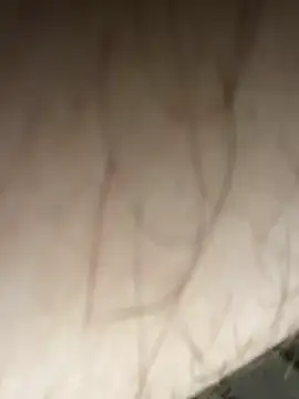 curis4270panda online show from October 2, 4:28 am