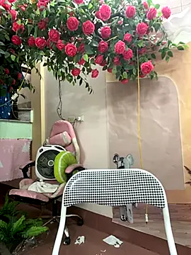 Bollozzy 89 online show from October 23, 4:51 am