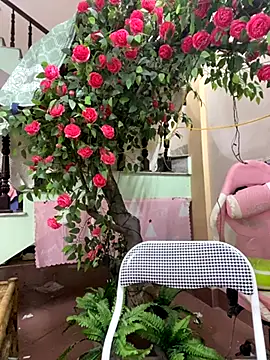 Bollozzy 89 online show from October 20, 3:37 pm