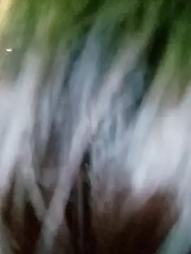 Sofia-ex online show from April 10, 9:15 am