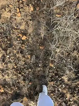 Manu97k online show from March 14, 5:36 pm