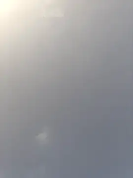 asian 2k online show from December 19, 2:48 am