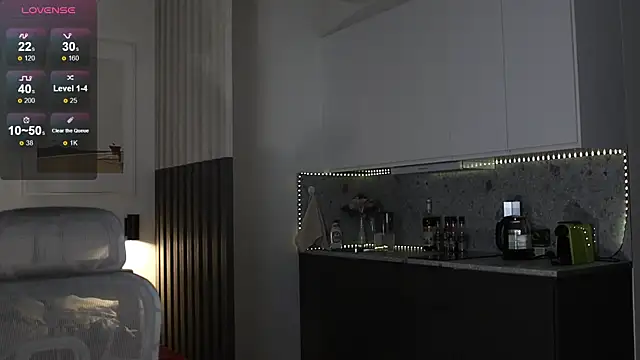 Snapshot of soguesswhat chatting on October 27, 1:39 pm soguesswhat online show from October 27, 1:39 pm