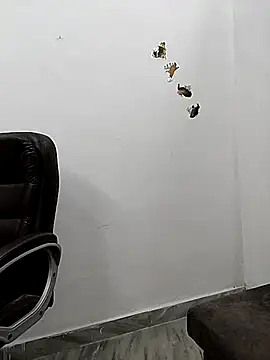 SEEMA 127 online show from October 24, 8:43 am