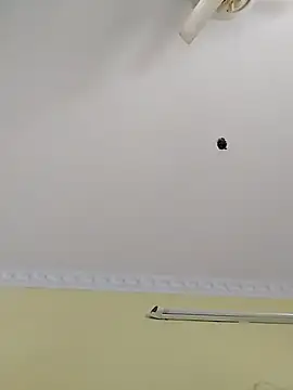 Monika Telugu Girl online show from November 14, 8:14 am