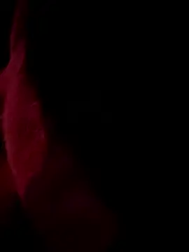 anna yngs online show from January 15, 10:32 am