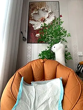 feifei 521 online show from November 26, 5:41 am