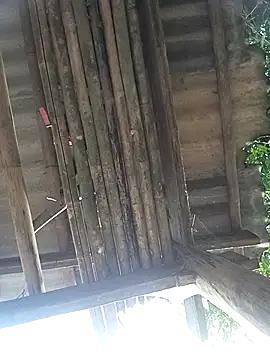 CoMay003 online show from November 16, 12:45 am