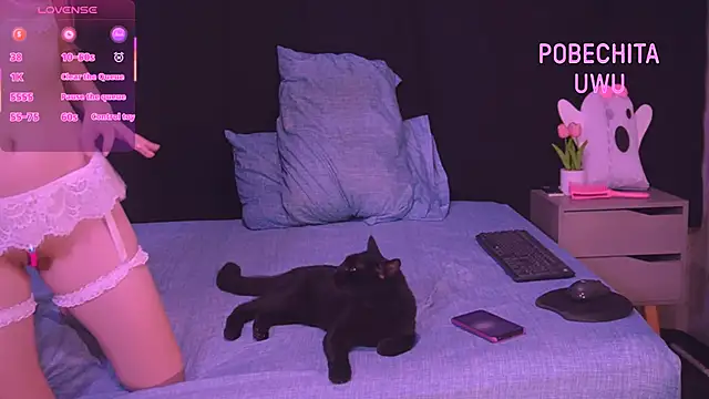 Pobechita online show from December 5, 2:44 am