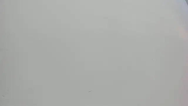 Saammy 17 online show from October 1, 8:03 pm