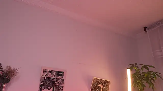 sophieee art online show from July 3, 3:23 am