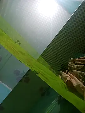 Apkisona8 online show from November 21, 4:42 pm