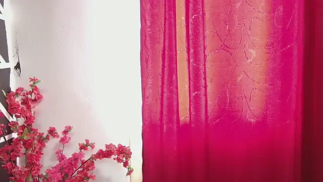 sany noa online show from November 10, 7:31 pm