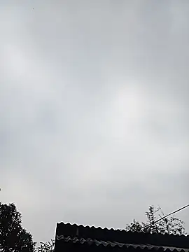 Ngocmi909 online show from January 11, 12:48 am