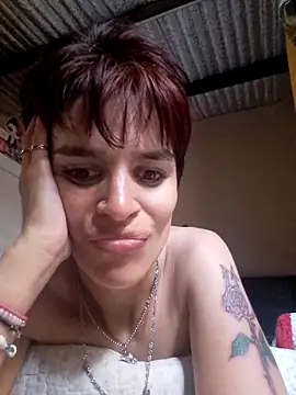culitobosterook online show from December 4, 1:46 pm