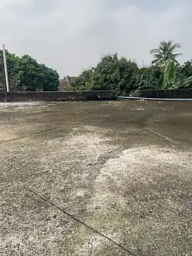 hello mie online show from February 5, 7:33 am