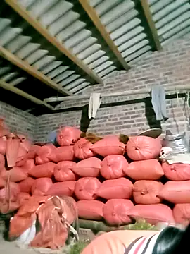 Lisa pusy online show from October 8, 4:33 pm