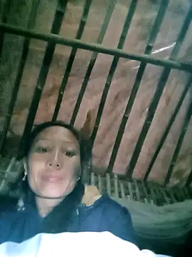 Lisa pusy online show from November 26, 11:17 pm