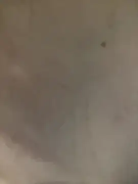 tran my online show from January 14, 12:10 pm