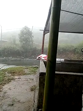 ngan-cute online show from November 2, 4:16 am