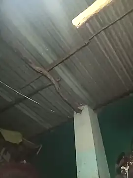 Snapshot of Hot-honi chatting on September 19, 1:43 pm Hot-honi online show from September 19, 1:43 pm